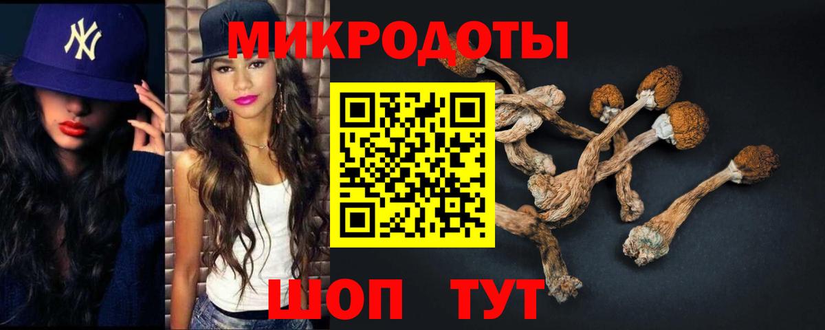 Галлюциногенные грибы ЛСД Михайловск
